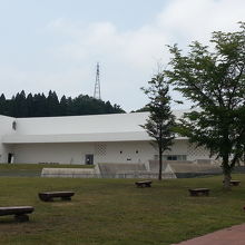 壁にミッフィーの顔