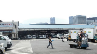 混乱にもめげず頑張っている