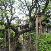 中道院日陽聖人が隠棲した寺院