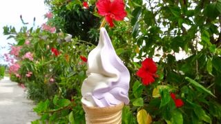 八重山観光の契約店