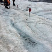ジャスパーで氷河体験