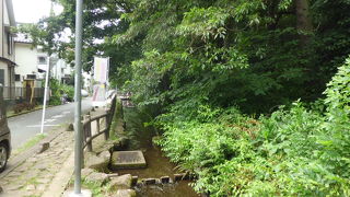 里山を活かした公園