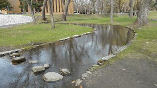 北大のオアシス