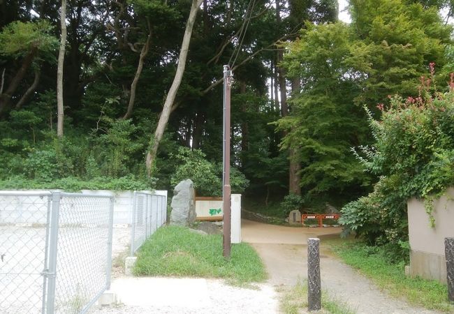 九十九里の公園・植物園 ランキング