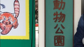 動物との距離が近い