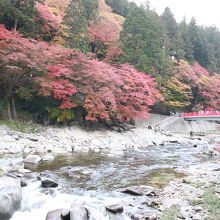 香嵐渓の紅葉