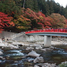 香嵐渓の待月橋と紅葉