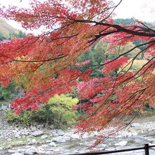 香嵐渓の紅葉