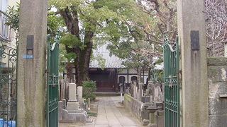 大きな木が印象的です