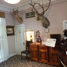 はくせいがいっぱい