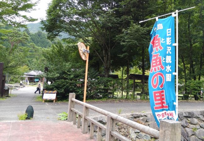 梅ヶ島温泉手前　魚釣りとバーペキュー　魚魚の里