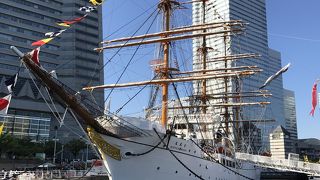 海の貴婦人でした。