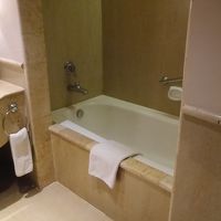 バスタブはありましたが固定シャワーで使い難かったです