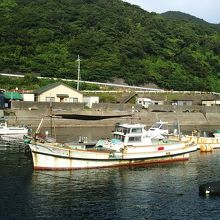 ダイビングボートとショップ