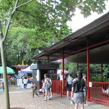 園内の遊具施設。