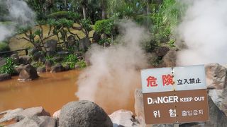 いろいろあってお得