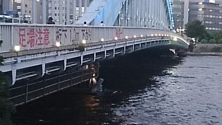 迫力があります