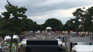 相模大野夏の風物詩