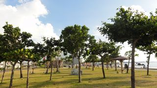 子連れ散歩向き