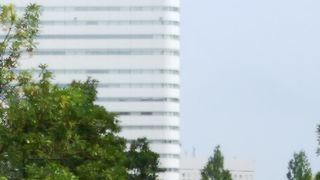 みなとみらいのおしゃれな通りのグランモール公園