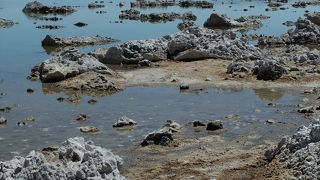 トゥーファー・タワーで有名な塩湖。6月中旬はハエの大群に要注意。