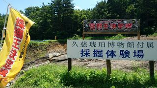 琥珀掘りができる