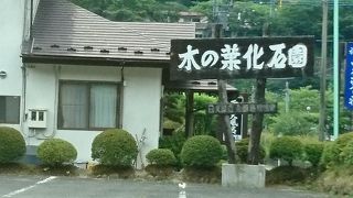 化石が入っているかもしれない原石を買って帰れます