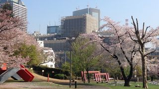 東京ミッドタウンの桜