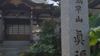 小高い丘？の上