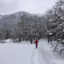 クロスカントリースキーで来てみた。