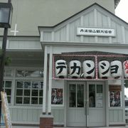 青山歴史村にデカンショ館があります