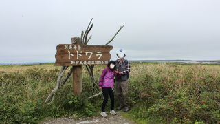 立ち枯れたトドマツとピンクの花、赤い実のハマナスが対照的で印象的でした。