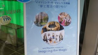 入場無料が嬉しい！