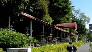 雰囲気最高です