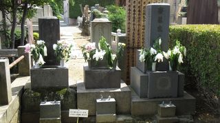 花が供えられていました