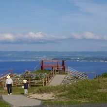 色々な名前が付けられています