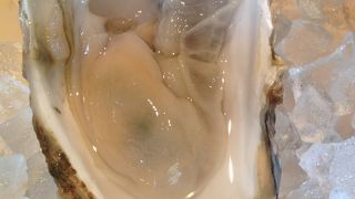 牡蠣が美味しい