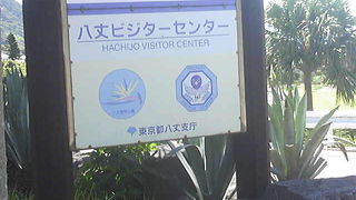 光るキノコ観察会