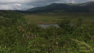 広大な眺望…緑の濃淡の違いが楽しめます。