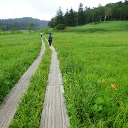 尾瀬沼のメインプレイス