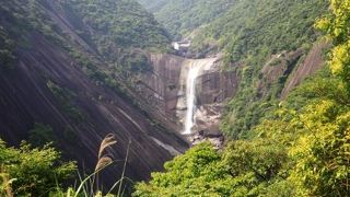 屋久島を代表する滝のひとつです