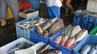 ドバイの築地市場へようこそ、地元民の暮らしを見るならココ！