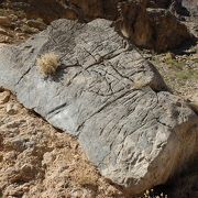 タイタス・キャニオン内に残る先住民の岩絵