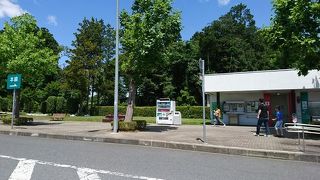 トイレ利用のみでしたら