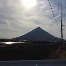 シルエットも美しい