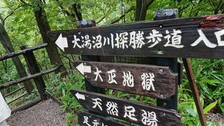 時間があれば散策を楽しむのもいいと思います