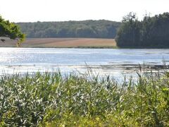 シャトー ダルトヴィル 写真