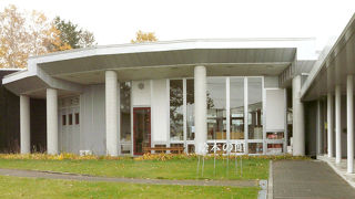 いろいろな絵本が集まった図書館