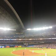 Go Blue Jays Go !