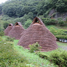 名前の由来は竪穴式住居型バンガロー